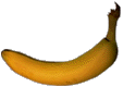 Aller aux fiches Fruits !